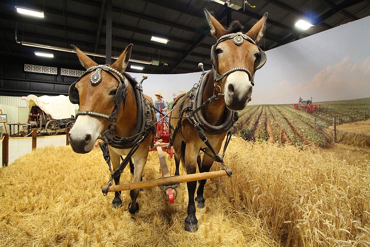 Bayer Museum of Agriculture