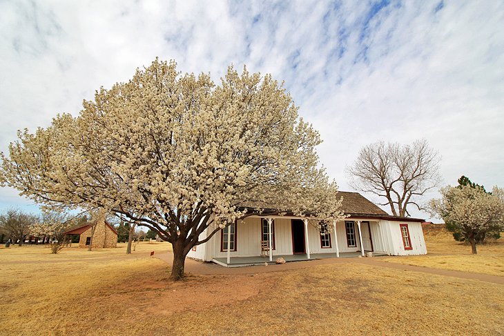 National Ranching Heritage Center (NRHC)