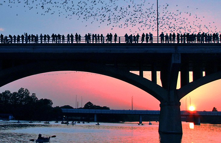 Viewing the bats at sunset in Austin