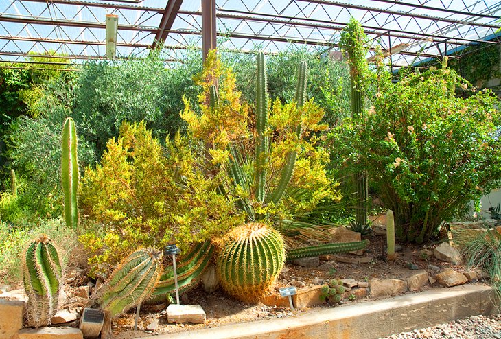 Centennial Museum and Chihuahuan Desert Gardens