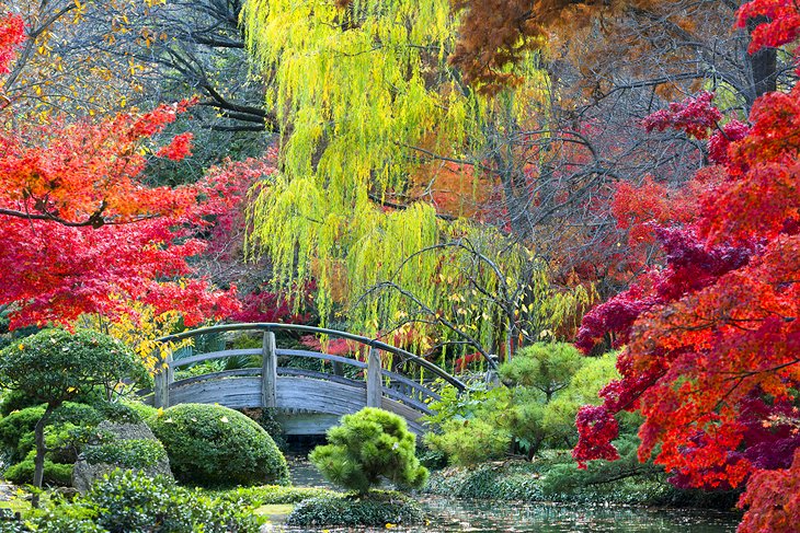 Japanese Garden at the Fort Worth Botanic Garden