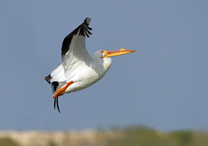 Padre Island National Seashore