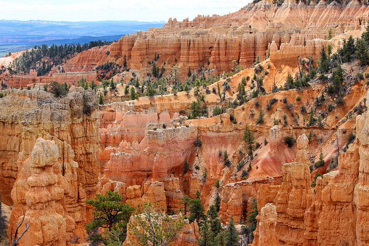 Fairyland Loop, Bryce Canyon National Park