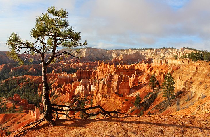 View over Bryce Canyon National Park