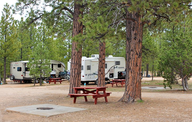 Terrain de camping des pins de Bryce Canyon