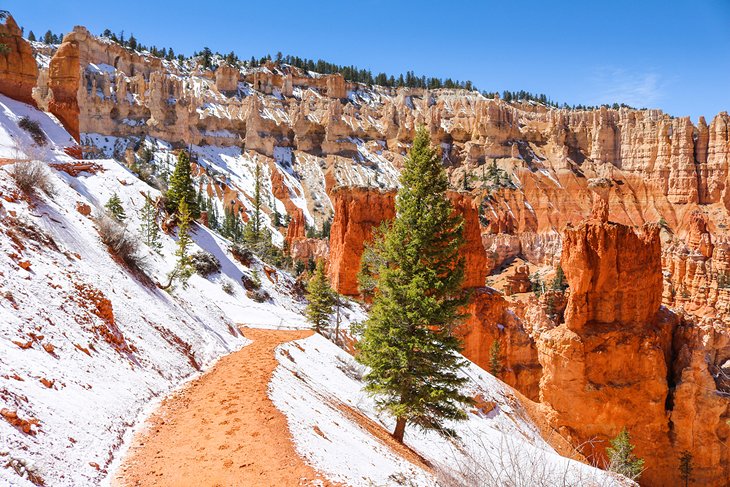 Peek-A-Boo Loop Trail