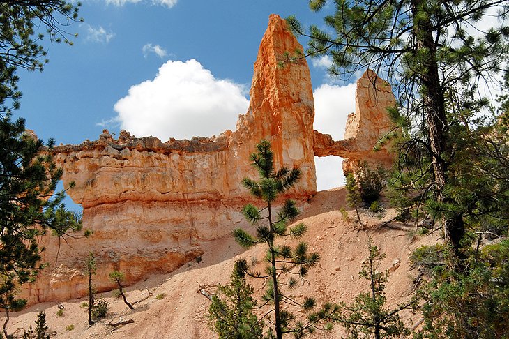 10 caminatas mejor calificadas en el Parque Nacional Bryce Canyon