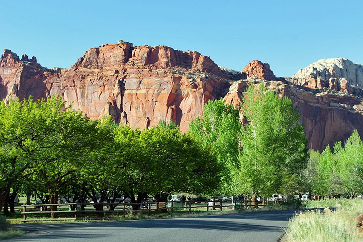 Fruita Campground in Capitol Reef National Park