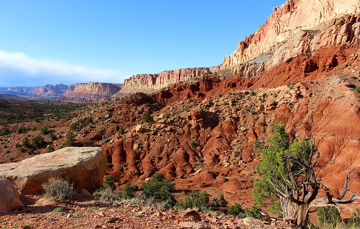 cap deed het verschil 12 Best Campgrounds near Capitol Reef National Park | PlanetWare