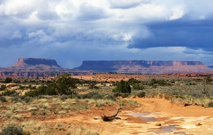 Colorado River Overlook Road in Canyonlands, The Needles District