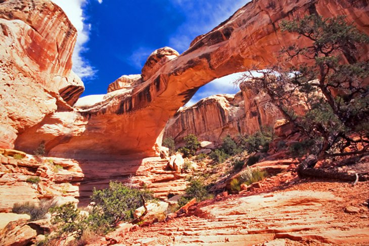 18 atracciones y lugares mejor valorados para visitar en Utah