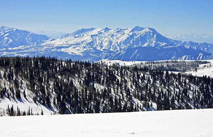 Powder Mountain