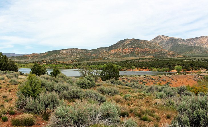 9 mejores campings cerca de St. George, Utah