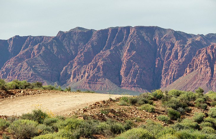 Cove Wash Trails, Santa Clara River Reserve