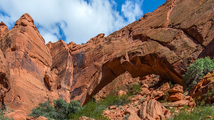 Johnson Canyon, Snow Canyon