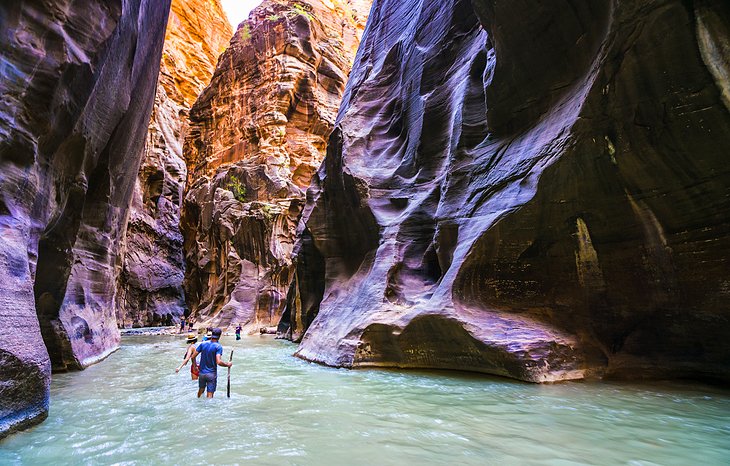 The Narrows, Zion National Park