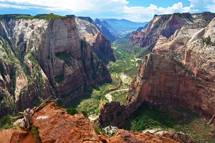 View from Observation Point