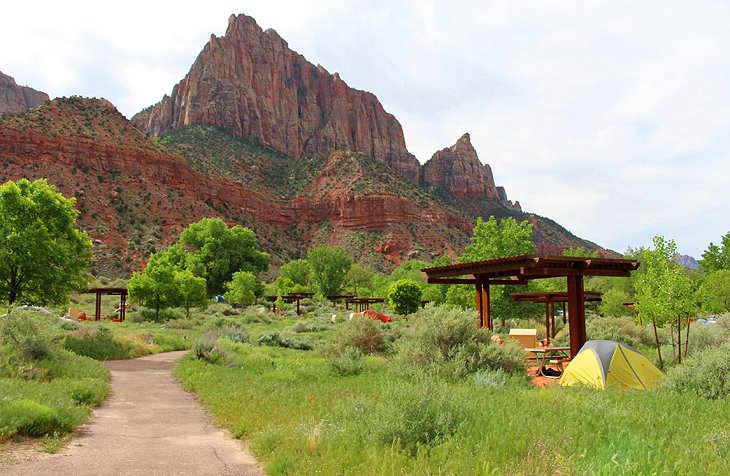 Watchman Campground in Zion National Park