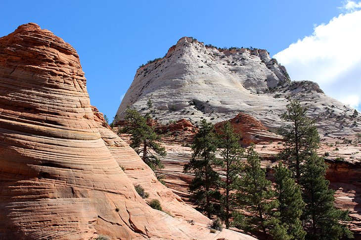 Landscape on the east side of Zion National Park