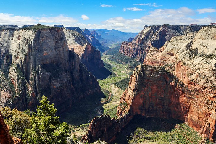 Observation Point