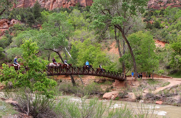 Canyon Trail Rides