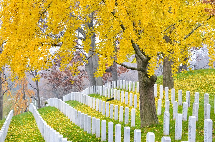 Arlington National Cemetery