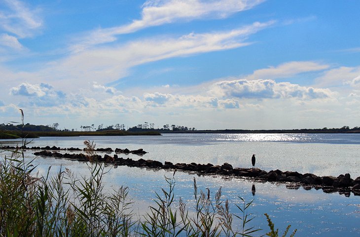 Back Bay Wildlife Refuge