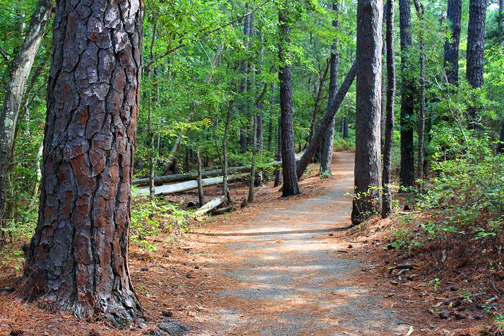 First Landing State Park