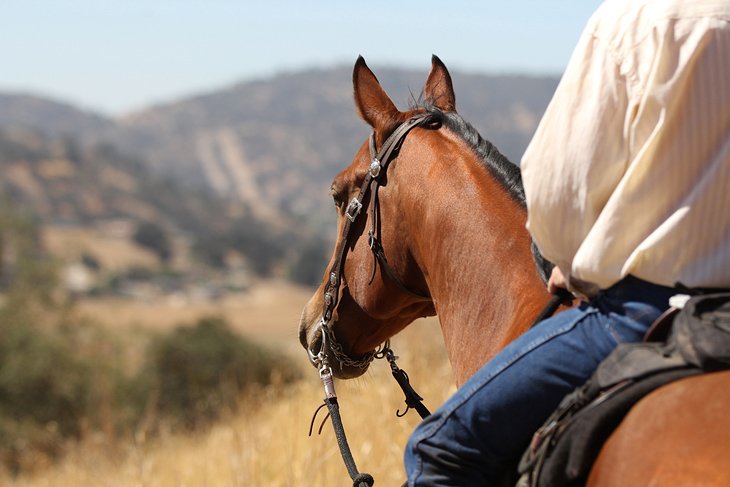 Trail riding