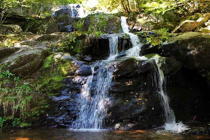 9 mejores rutas de senderismo en el Parque Nacional Shenandoah