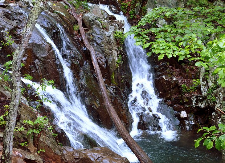 9 mejores rutas de senderismo en el Parque Nacional Shenandoah