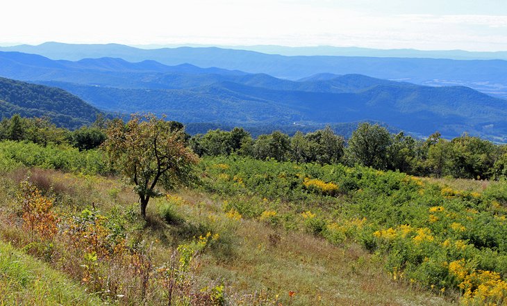 View from Skyline Drive