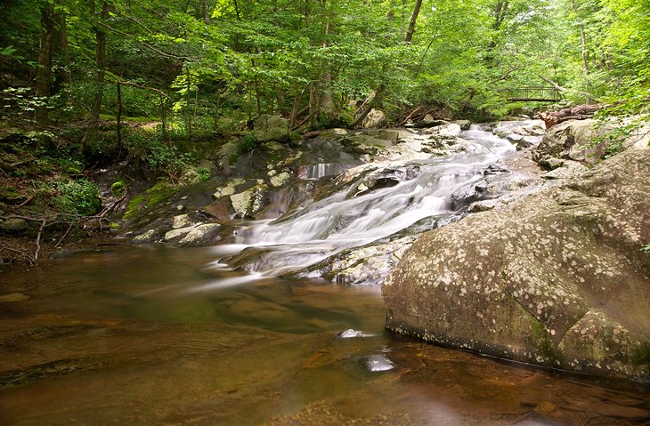 9 mejores rutas de senderismo en el Parque Nacional Shenandoah