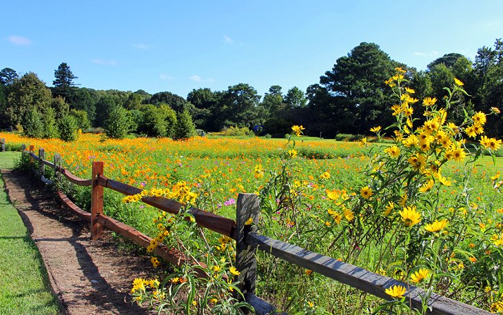 Norfolk Botanical Garden