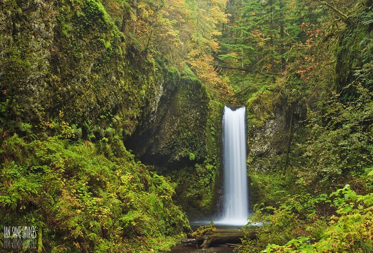 Bottom Creek Gorge Preserve