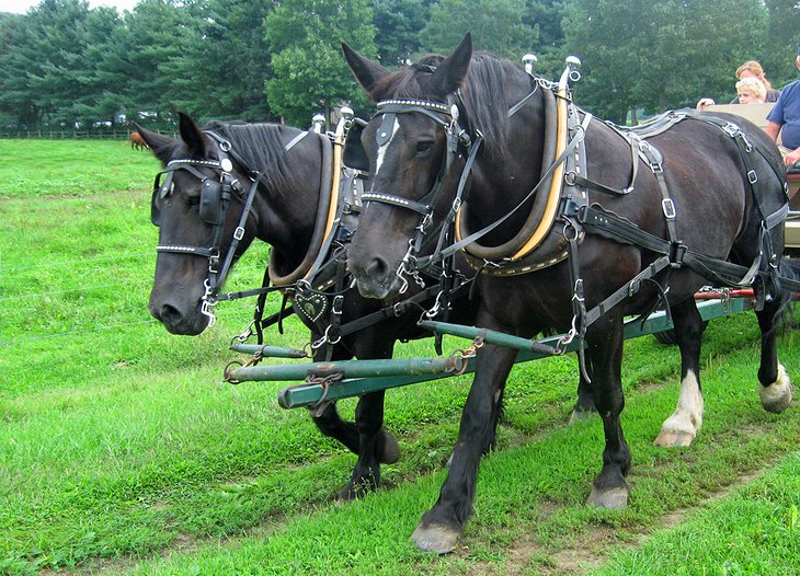 16 atracciones y lugares para visitar mejor calificados en Vermont