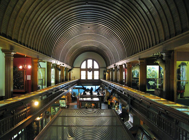 Fairbanks Museum and Planetarium