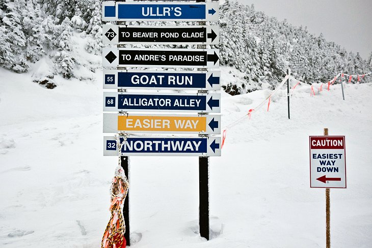 Trail signs at Jay Peak