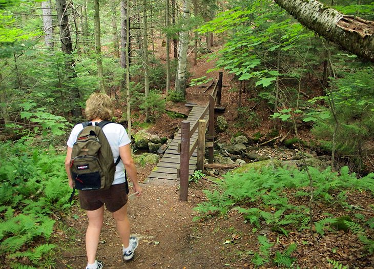 11 rutas de senderismo mejor valoradas en Vermont