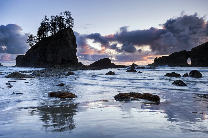 Olympic Peninsula Scenic Drive