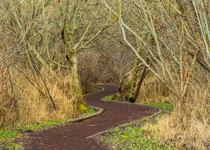 Mercer Slough Nature Park