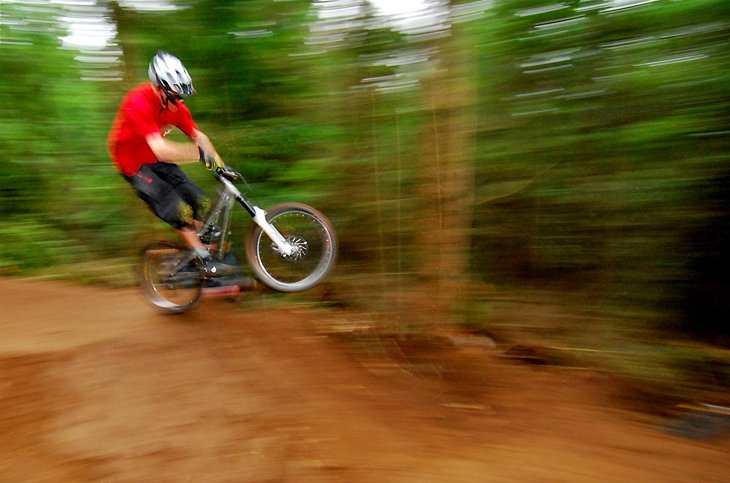 Galbraith Mountain Bike Park