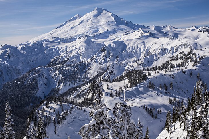 Mt. Baker Ski Area