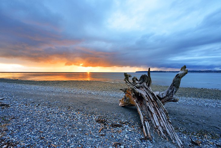 Birch Bay State Park