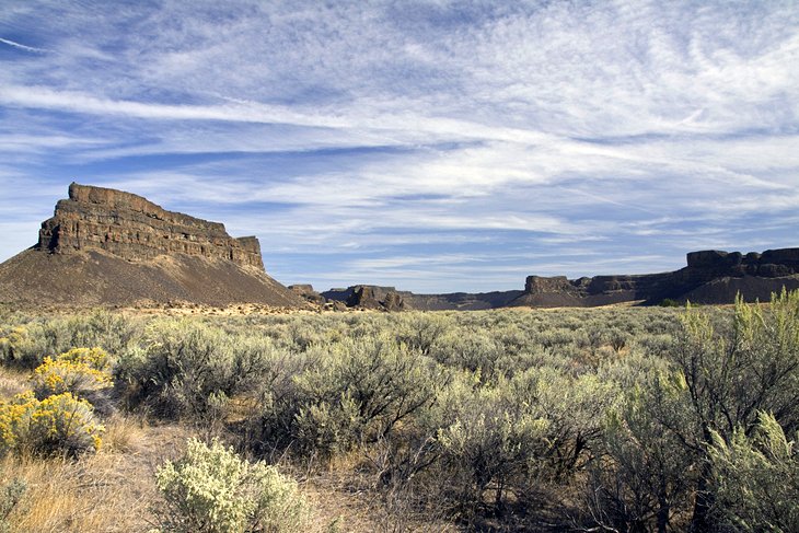 Umatilla Rock Trail