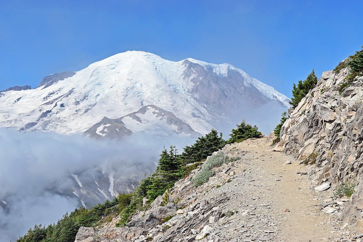 12 caminatas mejor calificadas en el Parque Nacional Mount Rainier, WA