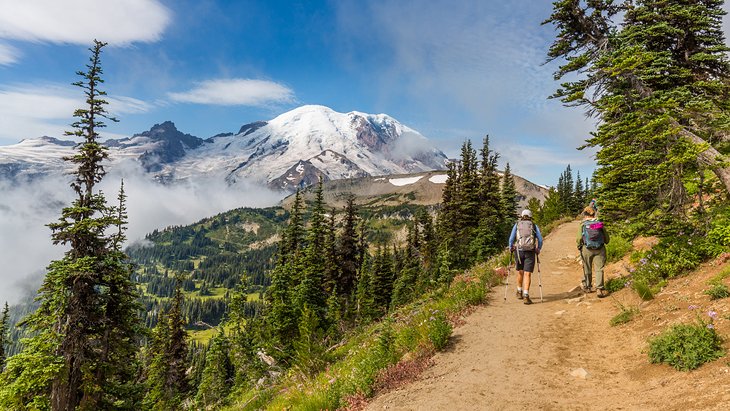 12 caminatas mejor calificadas en el Parque Nacional Mount Rainier, WA