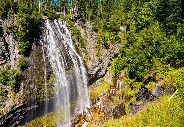 12 caminatas mejor calificadas en el Parque Nacional Mount Rainier, WA