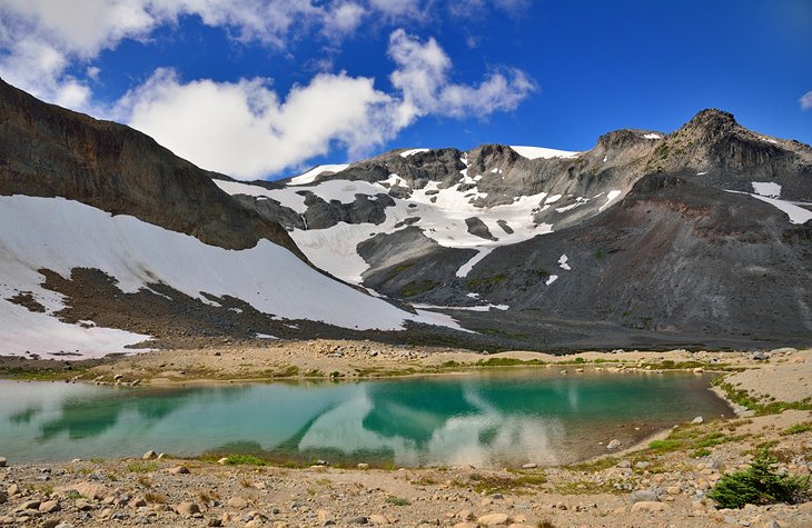 12 caminatas mejor calificadas en el Parque Nacional Mount Rainier, WA