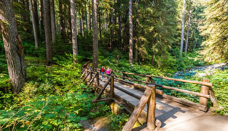 A bridge with a view of the Sol Duc Falls, near the Sol Duc Hot Springs Resort